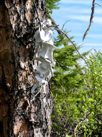 An interesting portage marker.