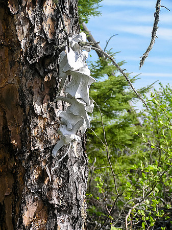 An interesting portage marker.