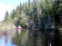 On the Wanipigow River.