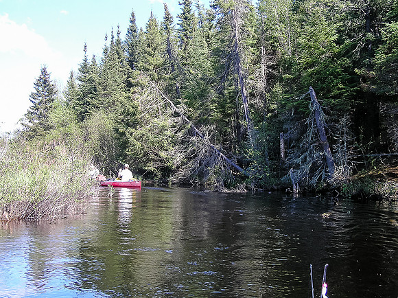 On the Wanipigow River.