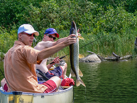 Nice fish Vern!