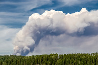 We grow concerned as the fire quickly grows.