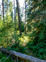 Portaging to Chase Lake.