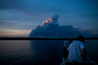 Hamming Walleye under the threat of wildfires!