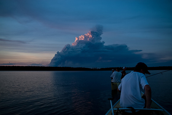 Hamming Walleye under the threat of wildfires!