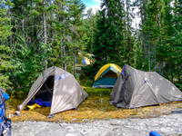 Cozy camp site on soft moss.