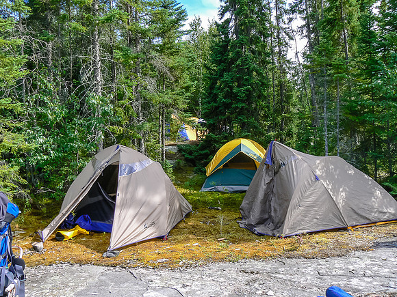 Cozy camp site on soft moss.