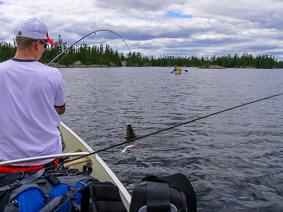 Catching fish in Reynar Lake