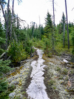 Interesting granite sidewalk on a portage on Saturday.