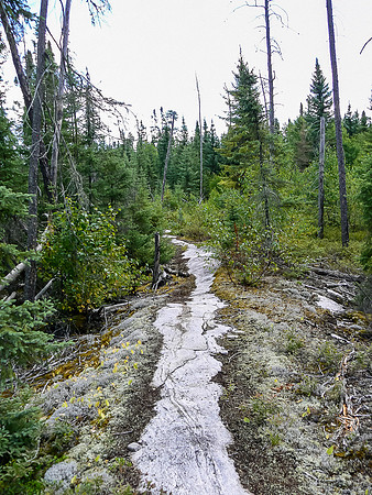 Interesting granite sidewalk on a portage on Saturday.