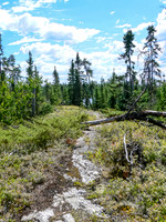Interesting granite sidewalk on a portage on Saturday.