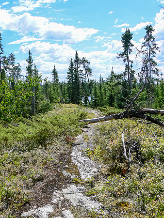 Interesting granite sidewalk on a portage on Saturday.