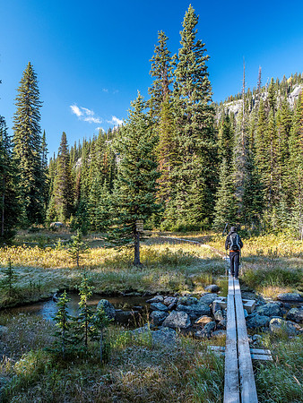 On our way to Whistling Pass from the popular Egypt Lakes campground.