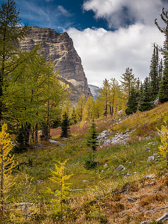Striking fall scenery around Whistling Pass.