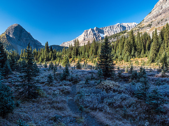 Heavy frost in the valley with Sugarloaf at left.