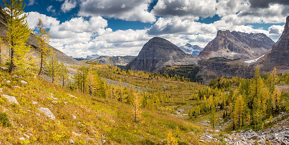 The most larchy goodness we had all day was in the hanging valley between Greater Pharaoh and Haiduk Peak.