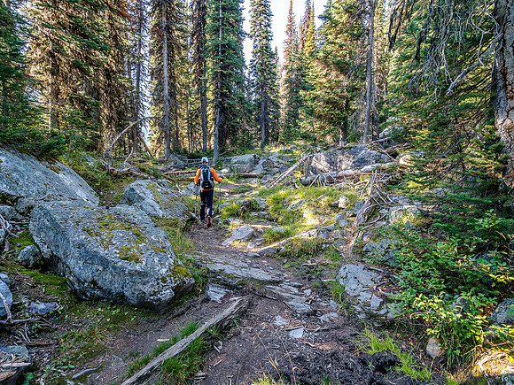 The trail is an interesting mix of switchbacks and forest. Note how green everything is lower down.