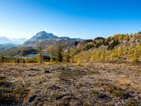 Great views along the Monarch Ramparts to their namesake in the distance. The heavy frost should help turn the stubborn larches even more yellow over the next week or so.