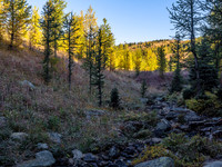 Crossing Healy Creek near the upper meadows - the larches are turning but aren't completely yellow yet.