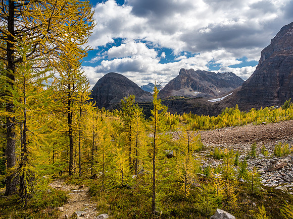 Striking fall scenery around Whistling Pass.