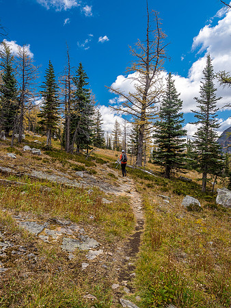 Hiking along Greater Pharaoh from Whistling Pass.