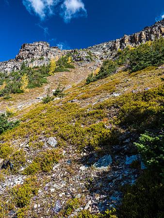 Looking up the easy gully giving access to the upper south face of Lesser Pharaoh Peak.