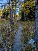 A gorgeous late summer day, looking back up the trail behind us as we descend from Healy Pass.