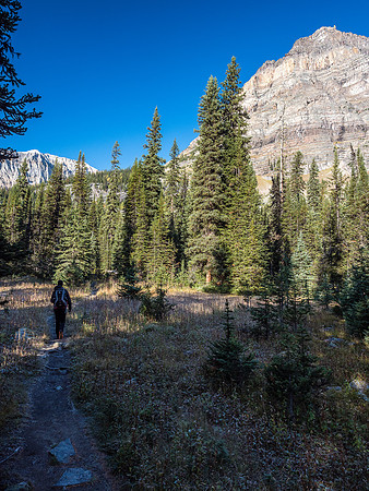 Approaching the camp and Egypt Lakes Shelter.