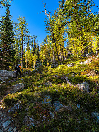 It's hard to feel tired when you spend so many hours hiking through scenes like this.