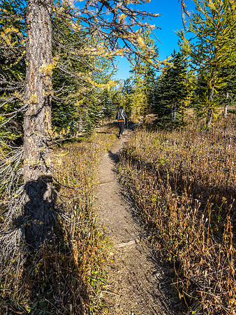 We joked all day about the "wonderful green larches"! But there were still enough yellow ones to enhance the landscape.