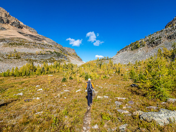 Phil hikes towards Whistling Pass.