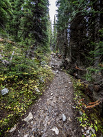 The trail starts to get wet as I ascend higher.