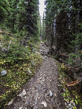 The trail starts to get wet as I ascend higher.