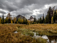 Finally reaching the upper Scarab Lake valley - it's pretty wet up here!