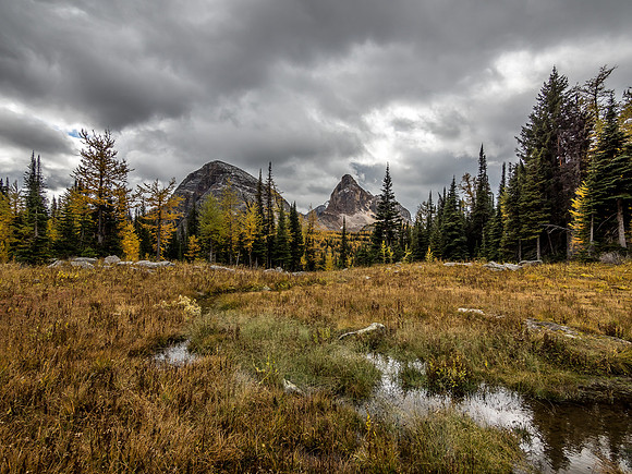 Finally reaching the upper Scarab Lake valley - it's pretty wet up here!