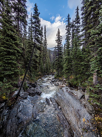 Healy Creek.