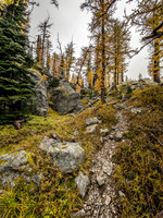 Looking back up the Whistling Pass trail as I descend.