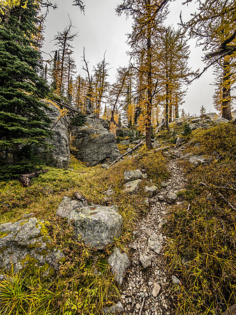 Looking back up the Whistling Pass trail as I descend.