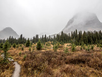Looking back at Pharaoh just before heading into the forest and up to Healy Pass again.