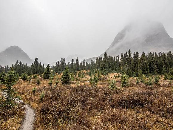 Looking back at Pharaoh just before heading into the forest and up to Healy Pass again.