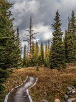 The trail beckons me on.