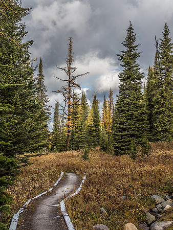 The trail beckons me on.