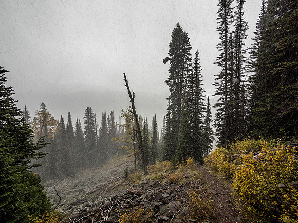 Just before putting the camera away for a couple of hours as the snow intensifies.