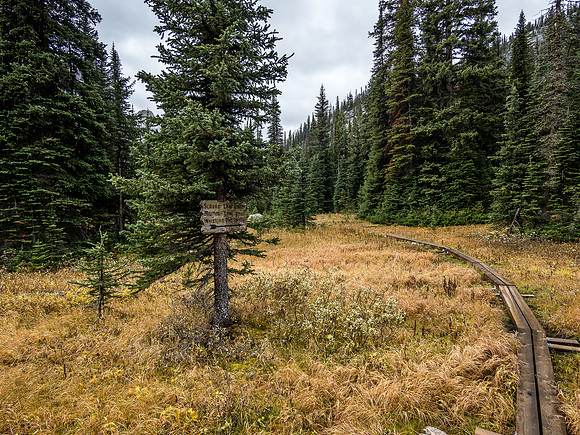 Taking the interesting boardwalk towards Whistling Pass and Scarab Lake.