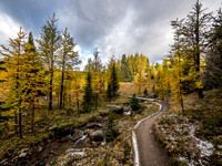 The well maintained trail to Healy Pass.