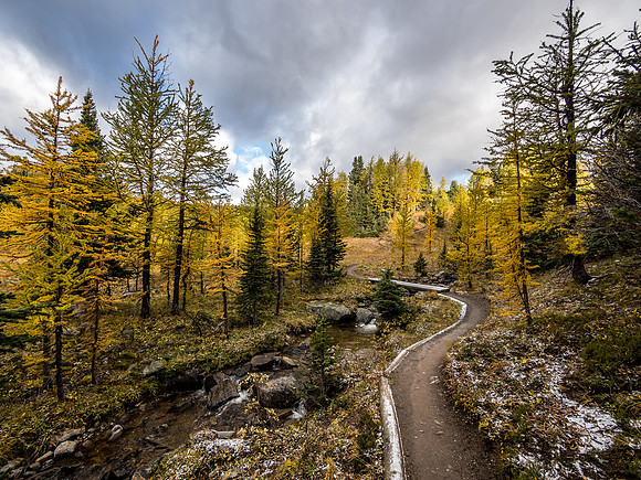 The well maintained trail to Healy Pass.