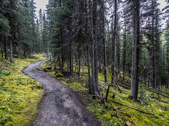 A long, wet and lonely hike back down Healy Creek.