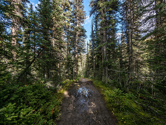 A long, wet and lonely hike back down Healy Creek.