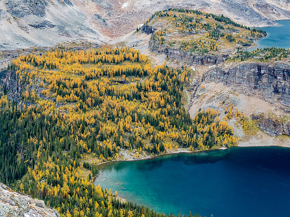 Scarab Lake with the Mummy Lake stream above.