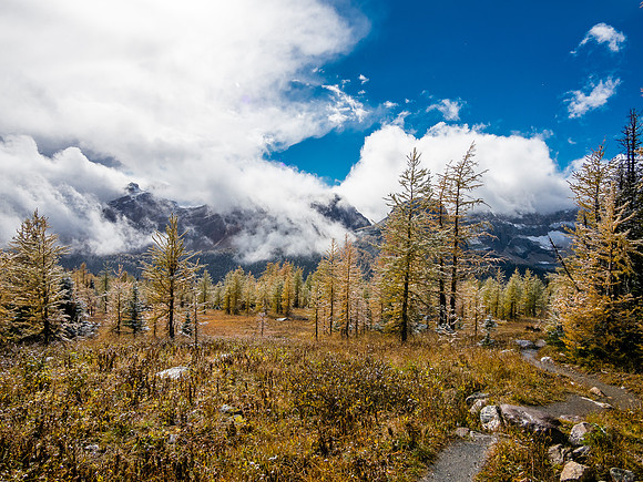 Just as I gain larch forests again, the weather starts to clear! Looking back over the Egypt Lakes area.